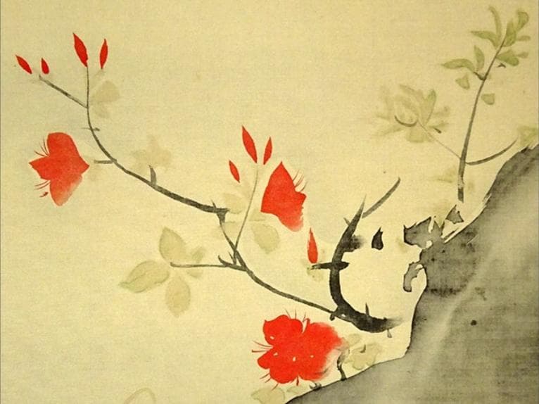 複製】掛軸 尾形光琳『躑躅図』大塚巧藝社 絹本 共箱付 掛け軸 a110516