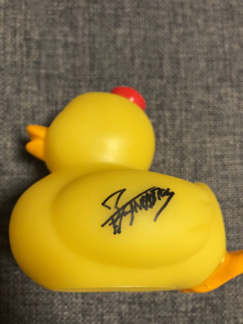 美しい彼サイン入りアヒル隊長 八木勇征 萩原利久 プレゼント