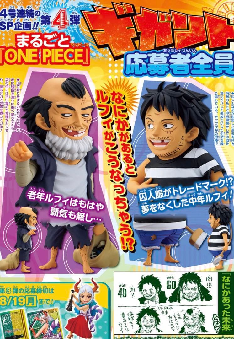 ワンピース モンキー・D・ルフィ なにかあった未来 AGE40&AGE60 - メルカリ