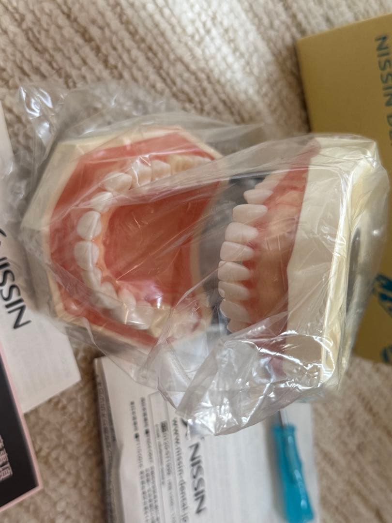 NISSIN 頬粘膜ボックスフルカバー 歯科衛生士