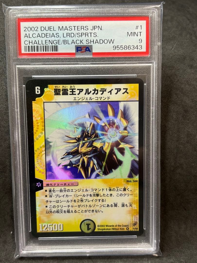 PSA9 ボルメテウスホワイトドラゴン 悪魔神バロム 精霊王アルカディア