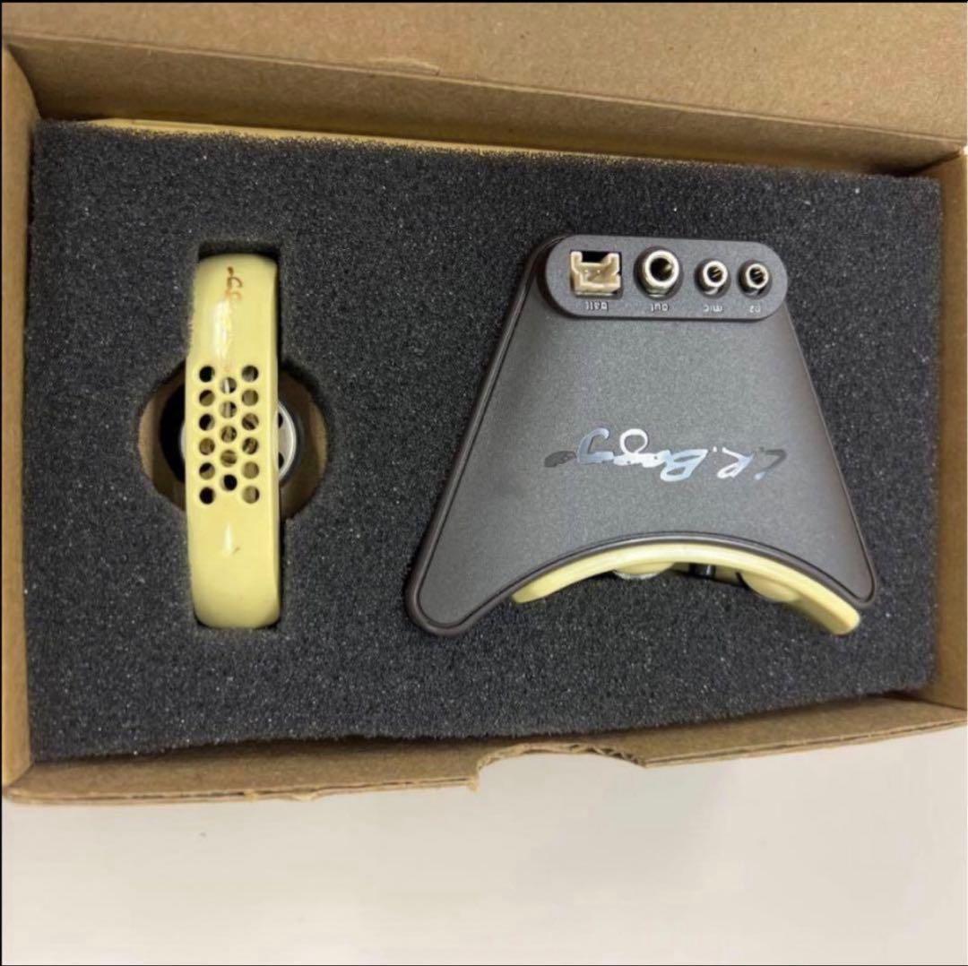 ギター L.R. Baggs Anthem