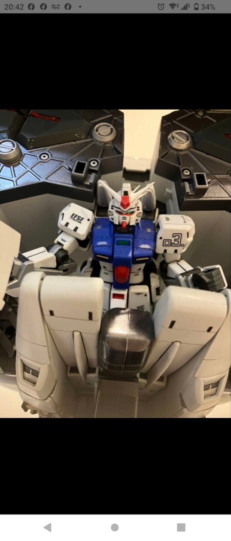 HG デンドロビウム　塗装済 完成品