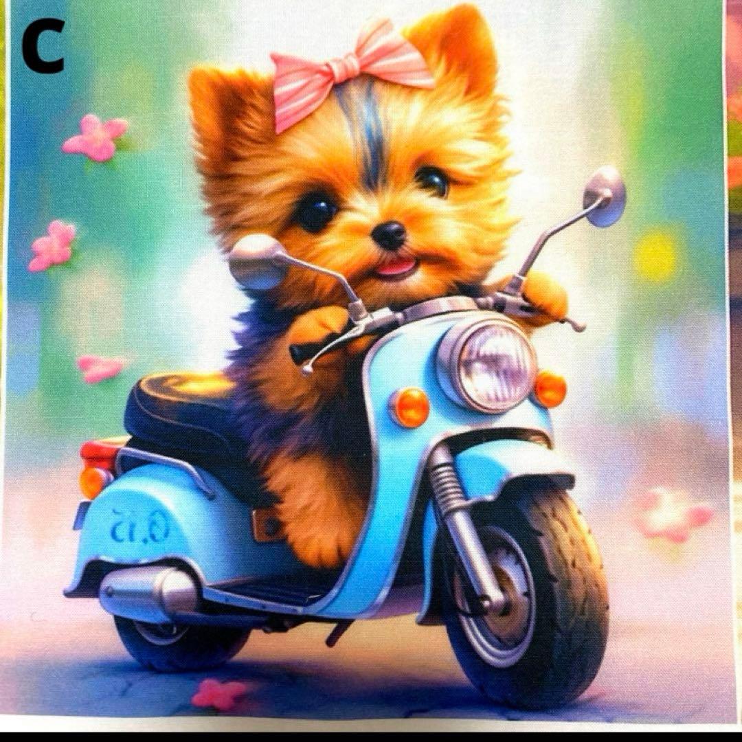 オーダーページ パネル バイクに乗ったヨーキー 12/21