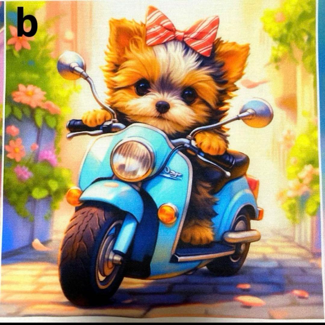 オーダーページ パネル バイクに乗ったヨーキー 12/21