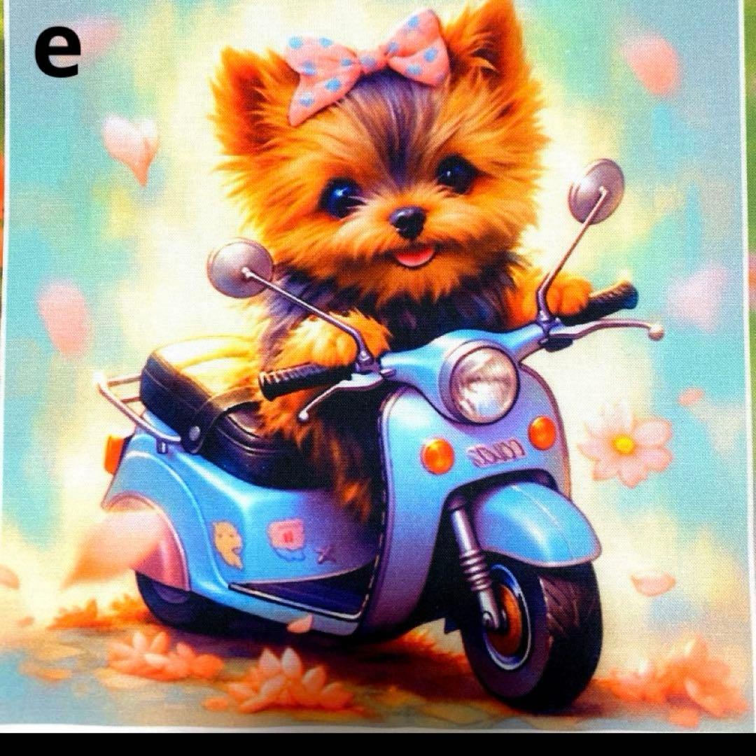 オーダーページ パネル バイクに乗ったヨーキー 12/21