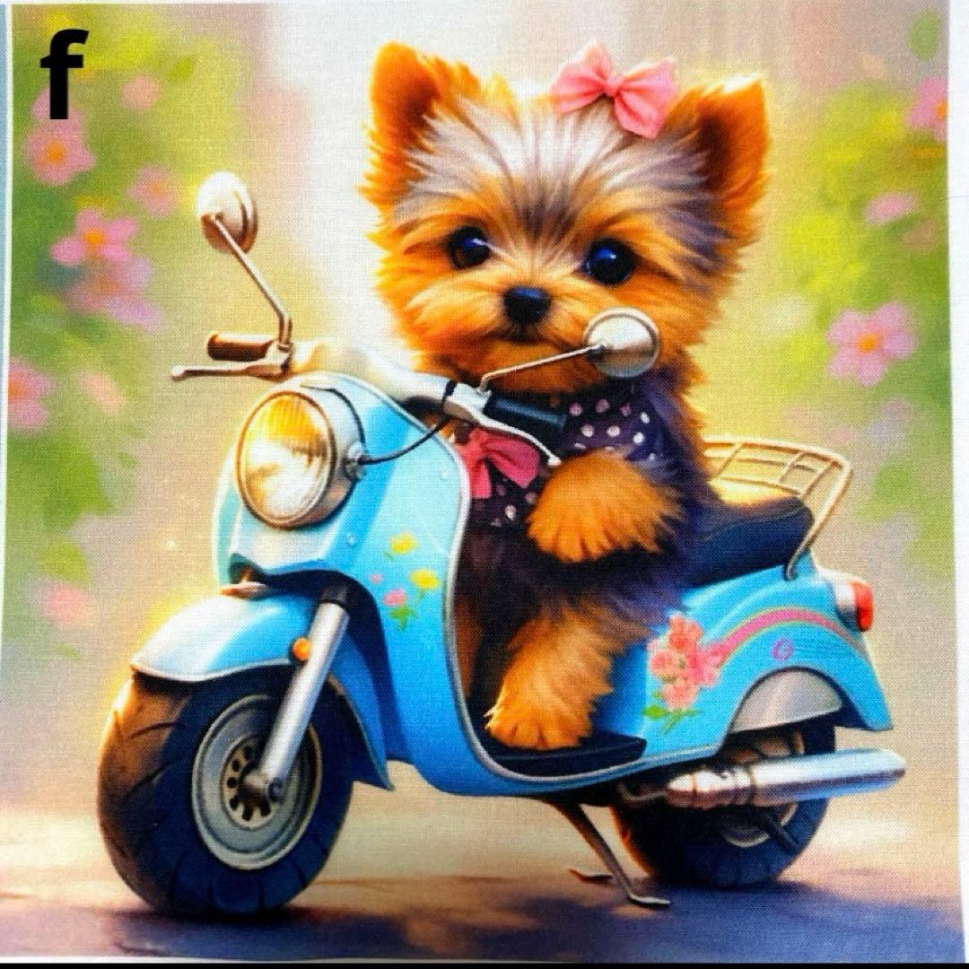 オーダーページ パネル バイクに乗ったヨーキー 12/21