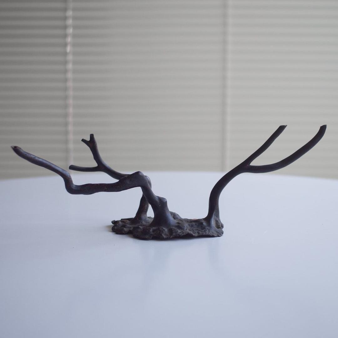 black coral / 黒珊瑚 置物 台