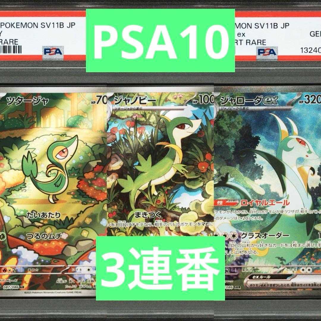 【PSA10】ポケモンカード　ジャローダex SAR ツタージャ　ジャノビー PSA10 ポケモンカード ジャローダex SAR & ジャノビー AR 2枚セット 連