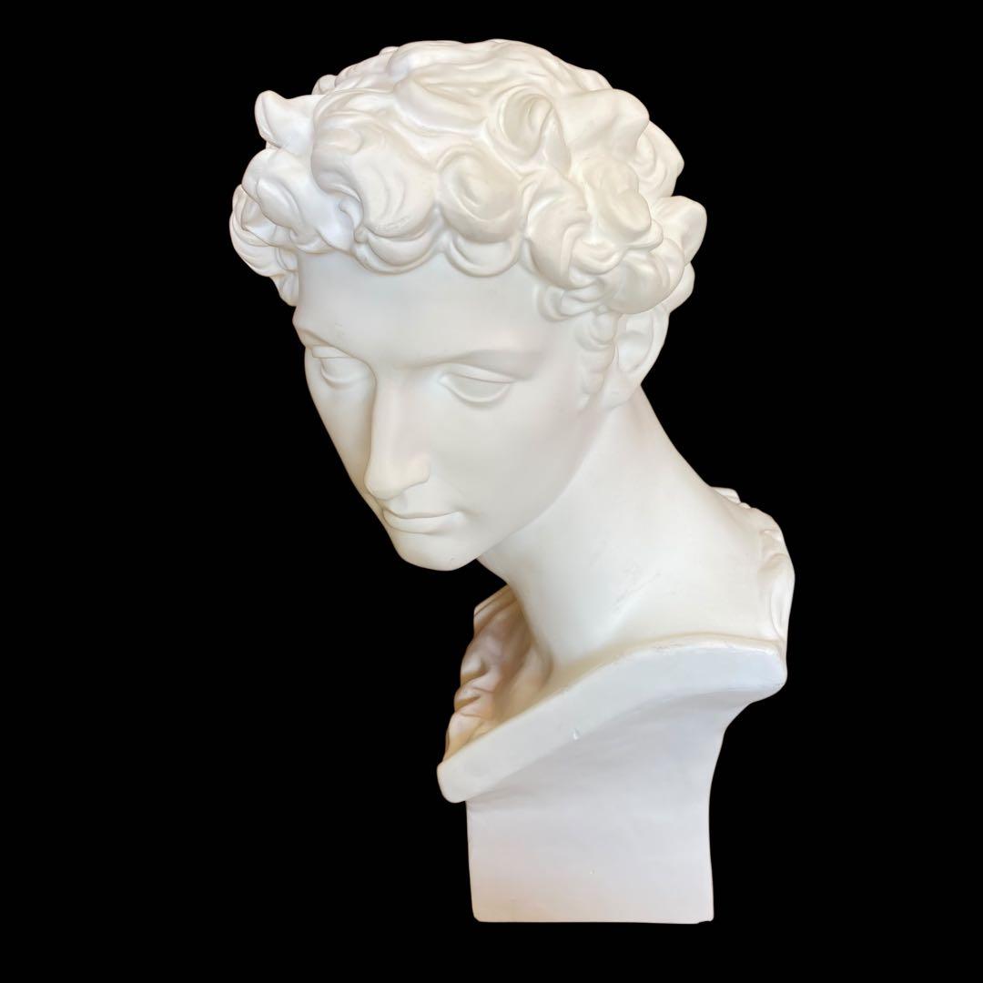 石膏像 メディチ 胸像 美術 スケッチ インテリア HORI SEKKO製