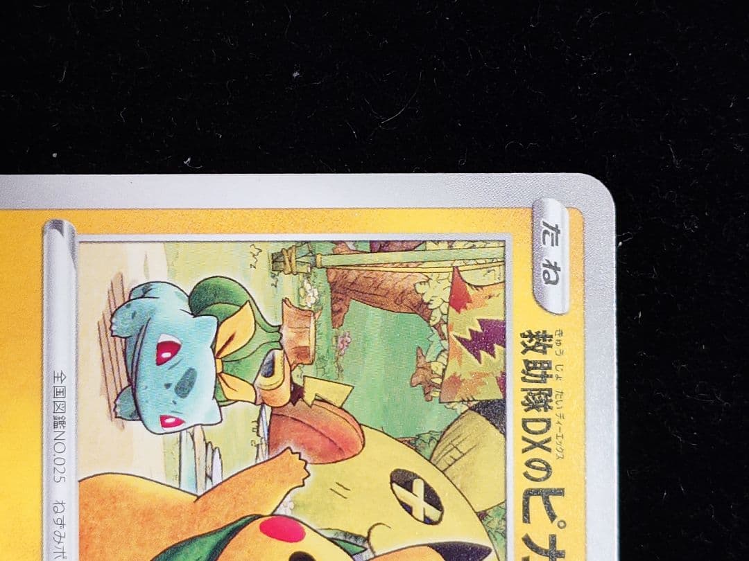 救助隊DXのピカチュウ