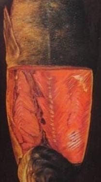 高橋 由一 、川鱒図、希少な額装用画集画、状態良好 - メルカリ