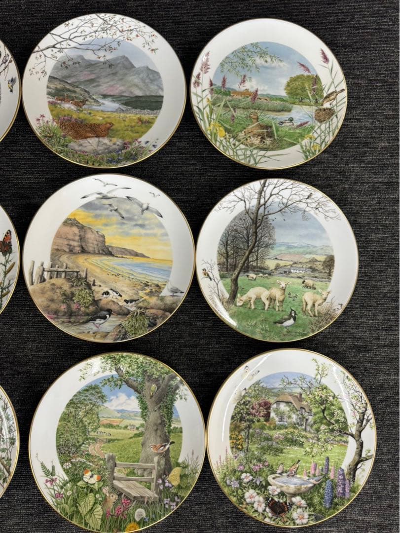 ロイヤルウースター  WORCESTER 12枚セット　飾り皿