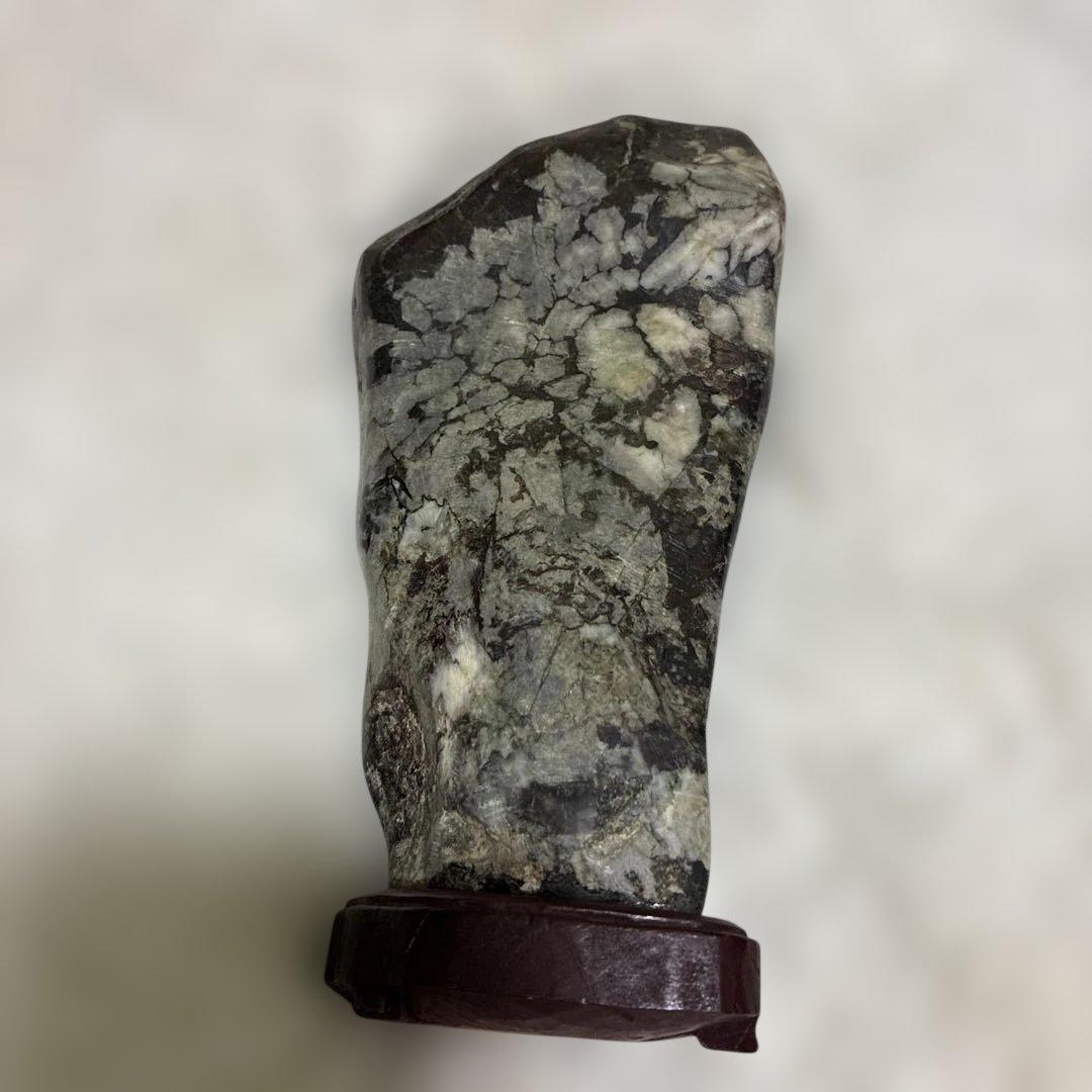 【極美品】★ 鑑賞石　菊花石　水石　盆石