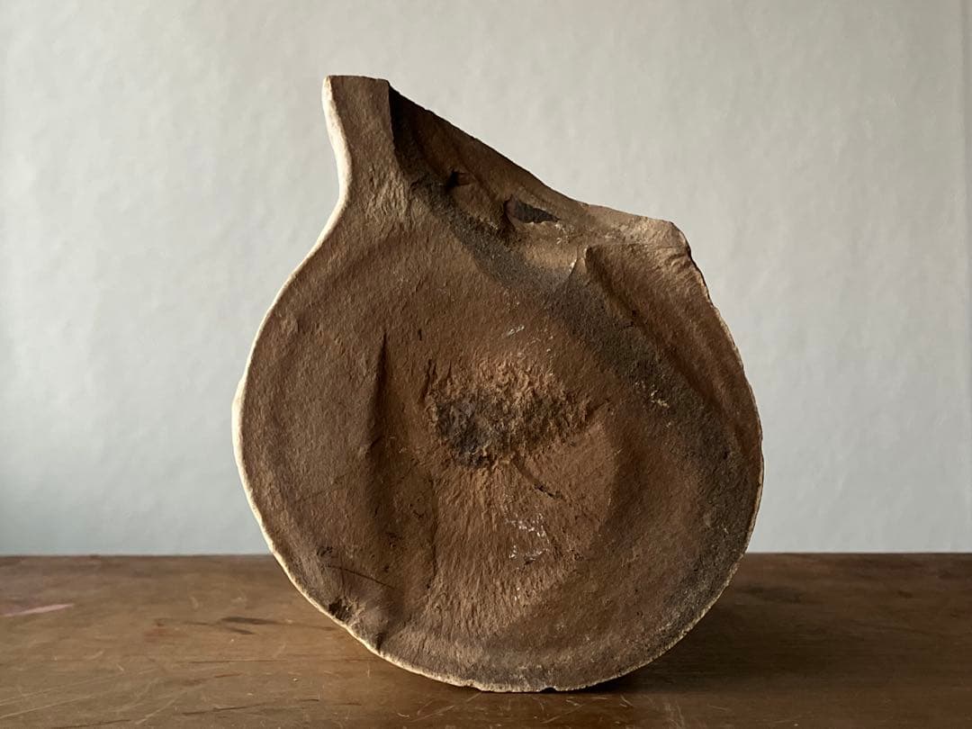 まるで惑星、魚類の糞化石 更新世 コプロライト】日本産うんち化石自然