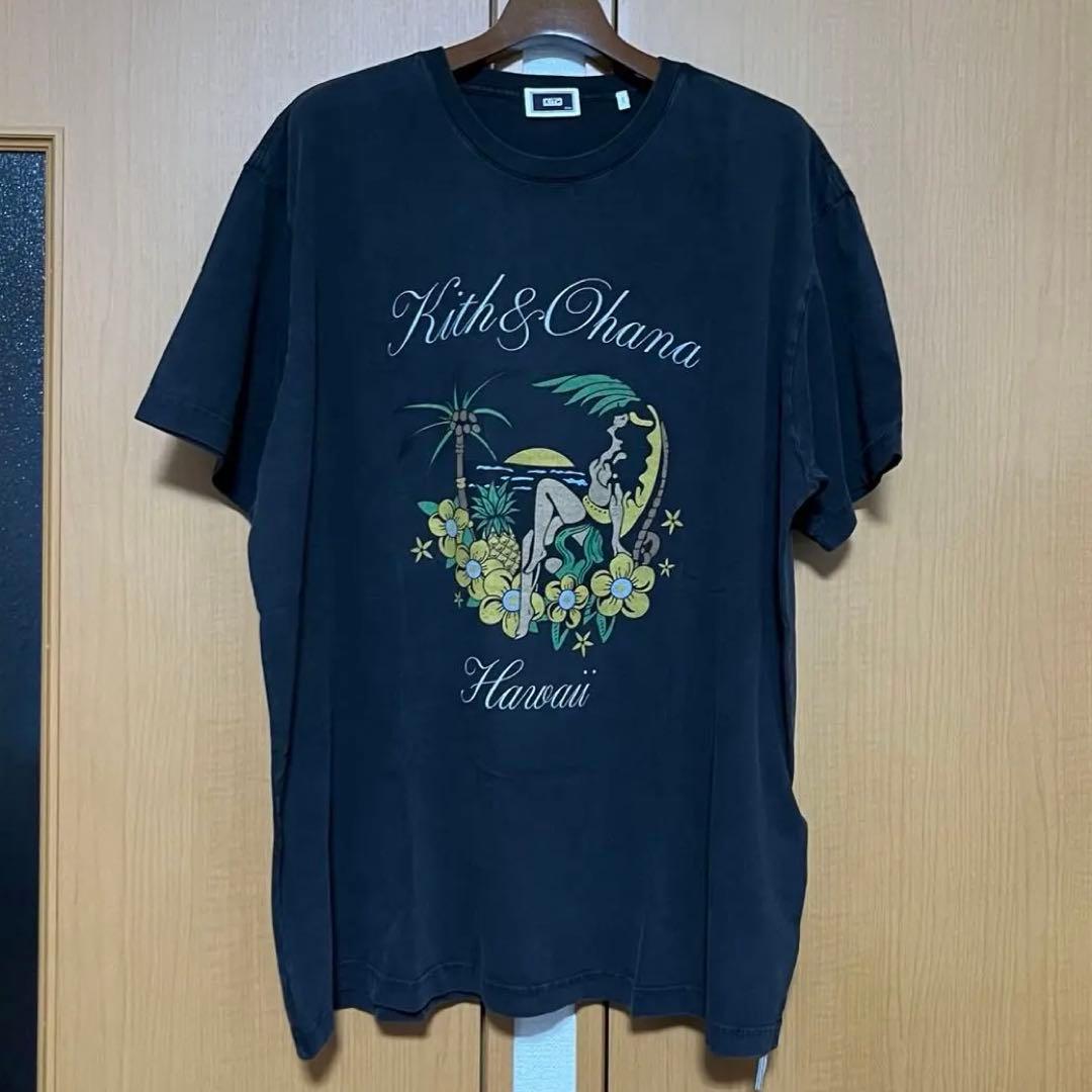 日本未発売 Bull's PHANTOM 2BA 20g 定価/