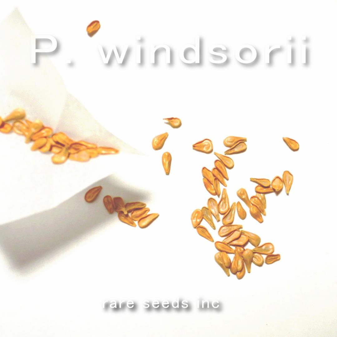 こてつさま専用♪