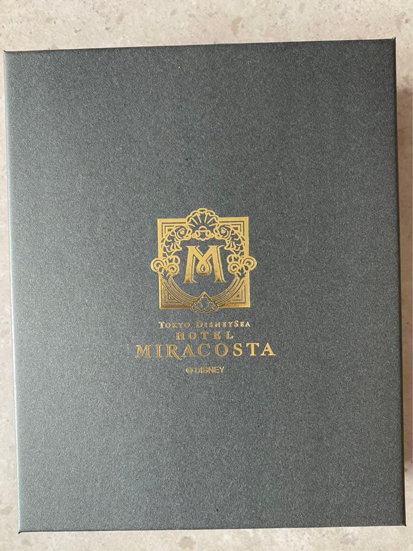 【 3月 3日までお値下げ】ホテルミラコスタ フォトフレーム　フレーム付きアート