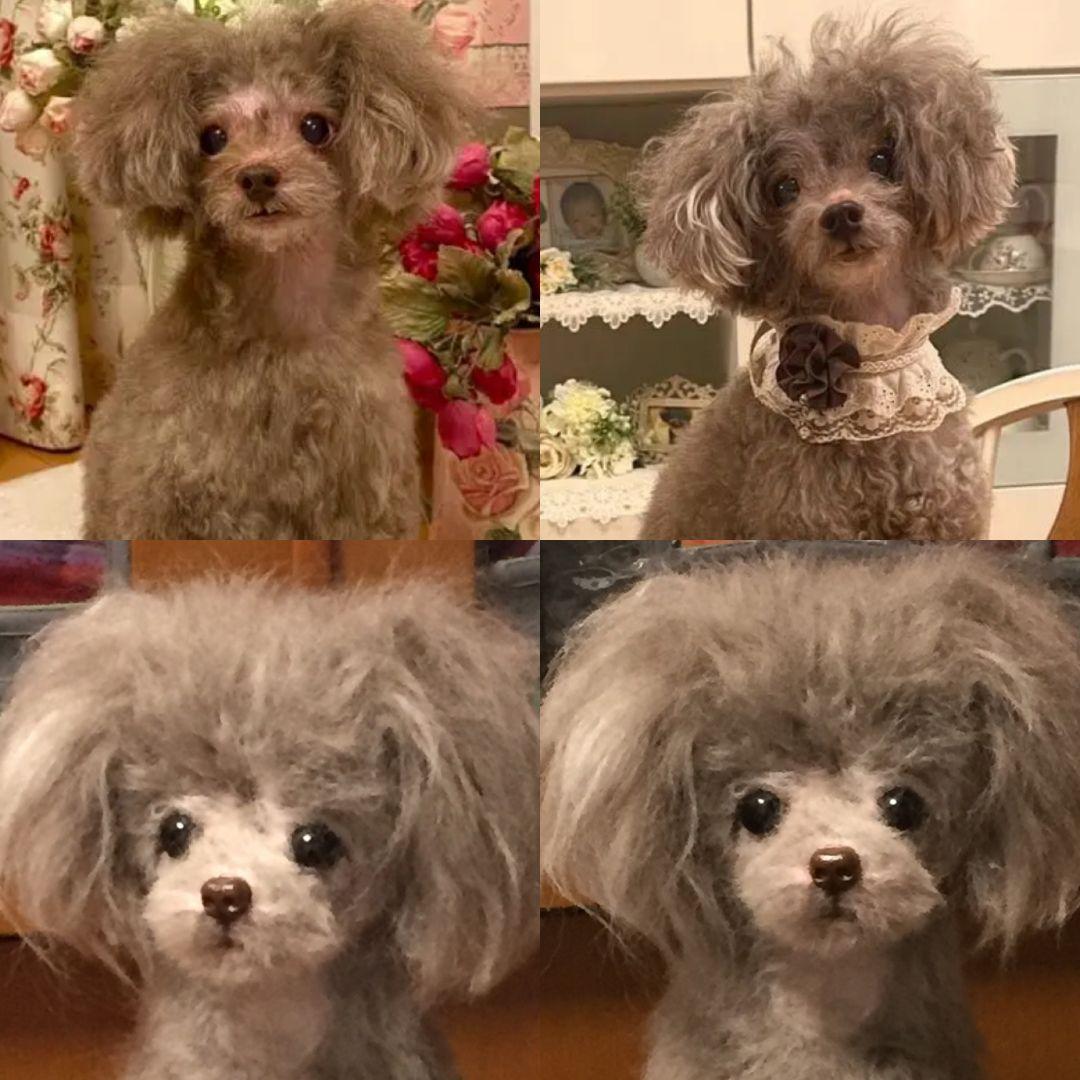 羊毛フェルトオーダー・受付専用ページ