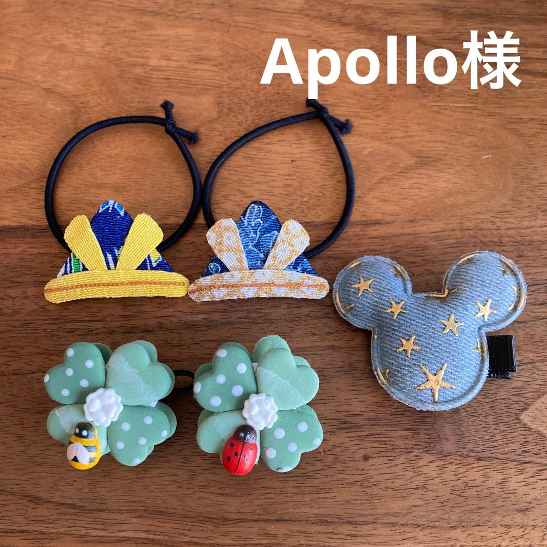 m&m様ご確認用☆ベビーヘアクリップ