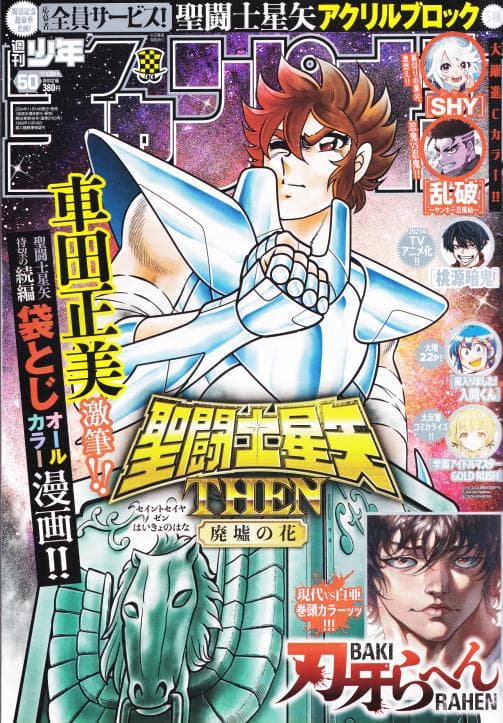 週刊少年チャンピオン50号 聖闘士星矢 袋とじ「then 廃墟の花」 - メルカリ