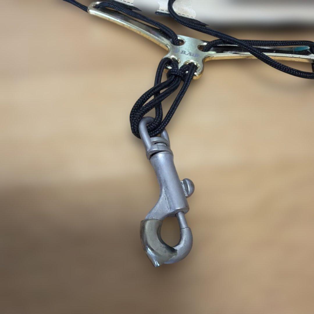 バードストラップ