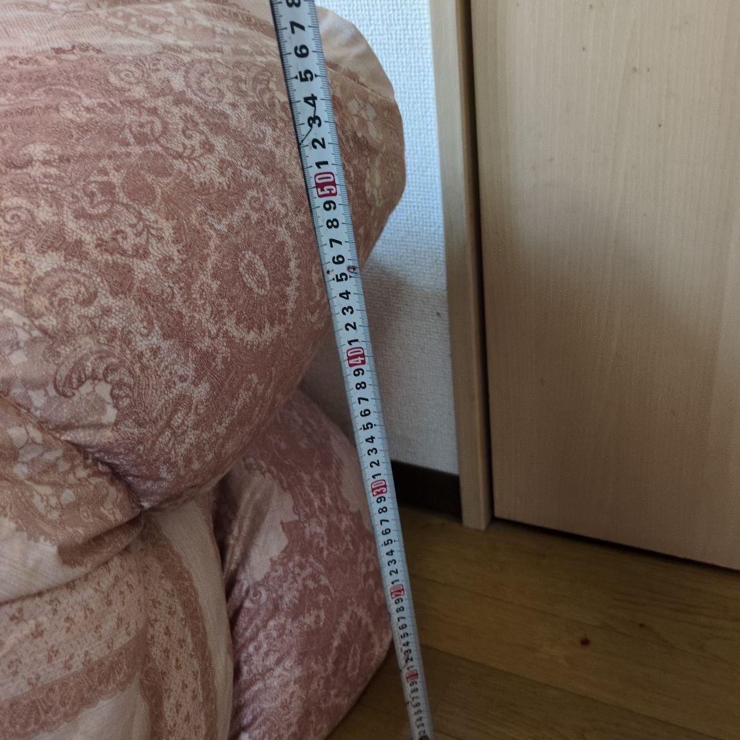 たけ　羽毛布団dp440希少カナダ産マザーグース1.3kg超長綿100%