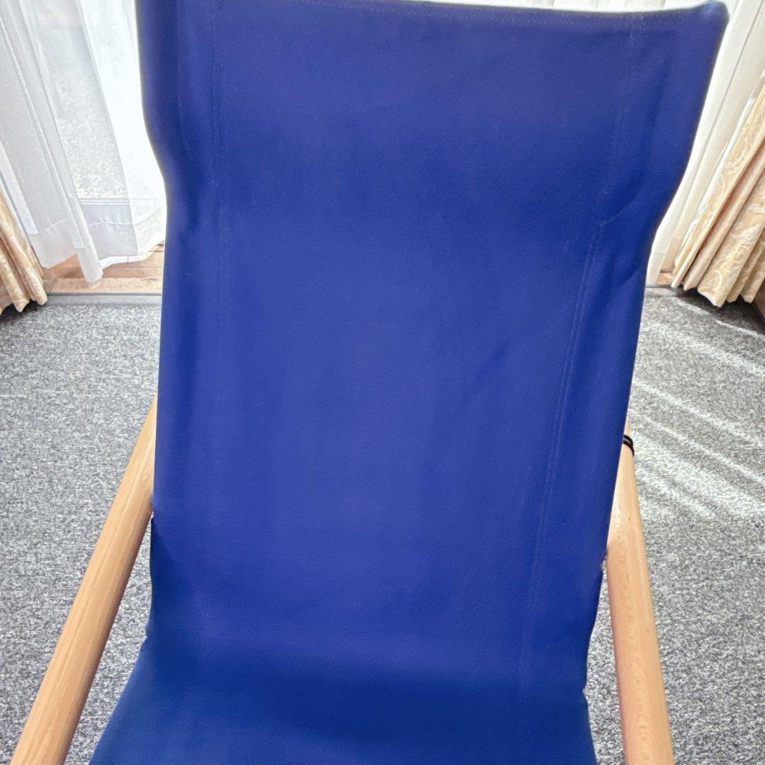 【希少カラー】ニーチェアエックス（Nychair X）オットマン付き