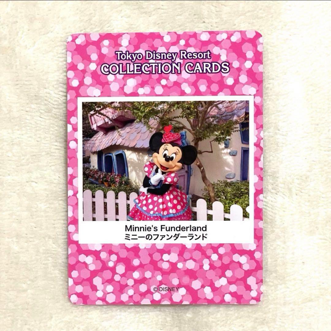パルパルーザ ミニー コレクションカード ミニーのファンダーランド