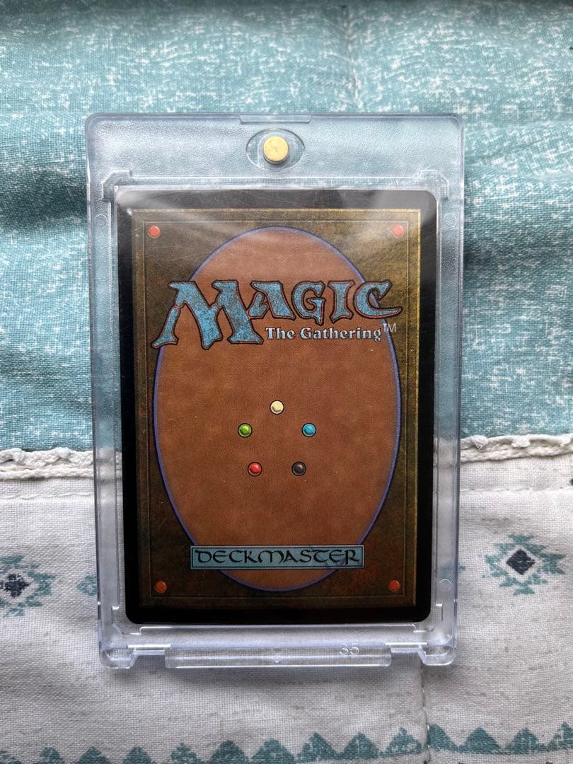 限定出品 欲深きドラゴン foil MTG マジック