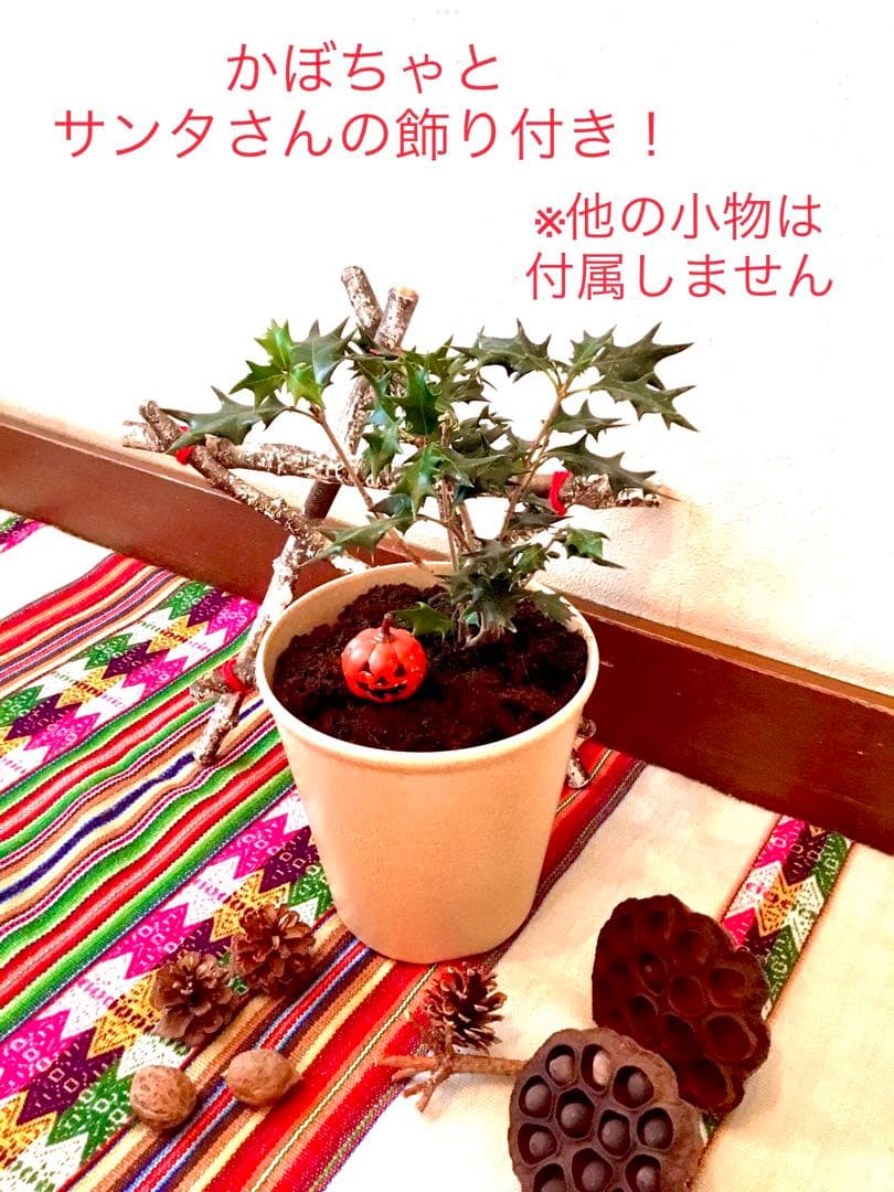 【完売】天然＊野生の可愛い柊さん/ひいらぎ/大サイズ/ハロウィンやクリスマスに