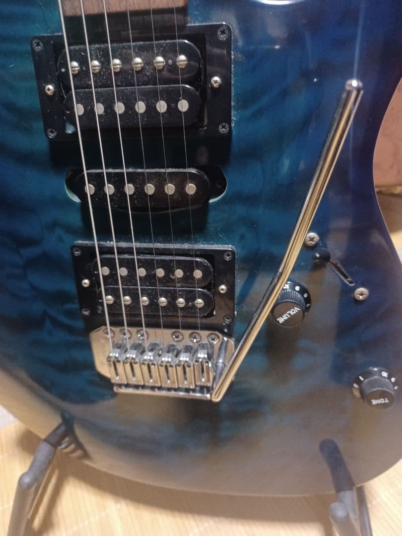 格安アイバニーズ　GIOジャンク