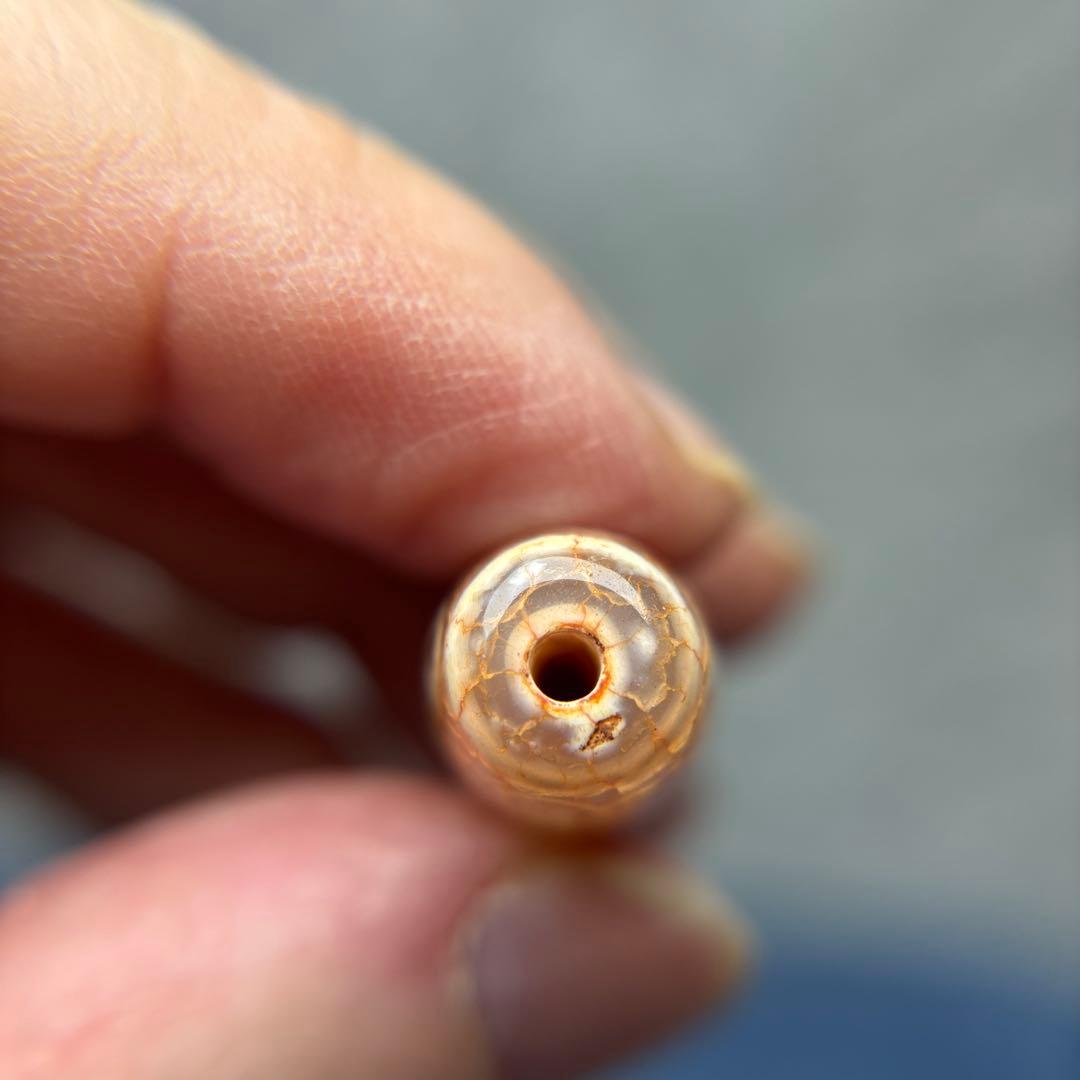 ユッキー至純龍紋36眼血系天珠　1-209