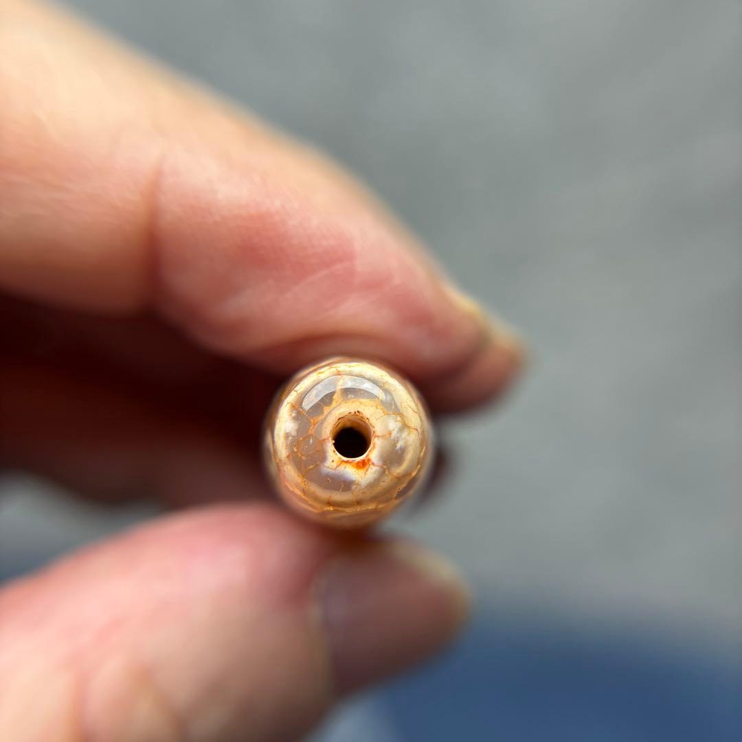 ユッキー至純龍紋36眼血系天珠　1-209