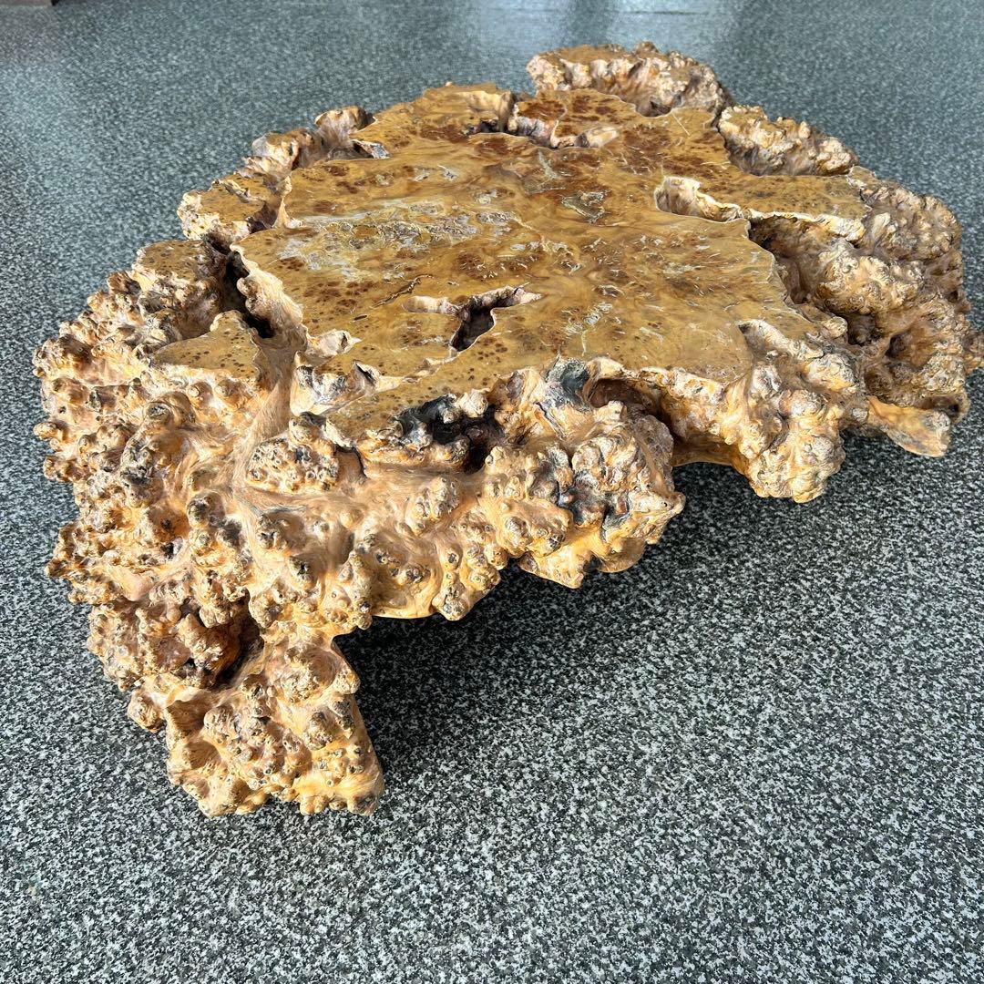 【希少】脚一体もの こぶ 無垢 一枚板 天然木 座卓