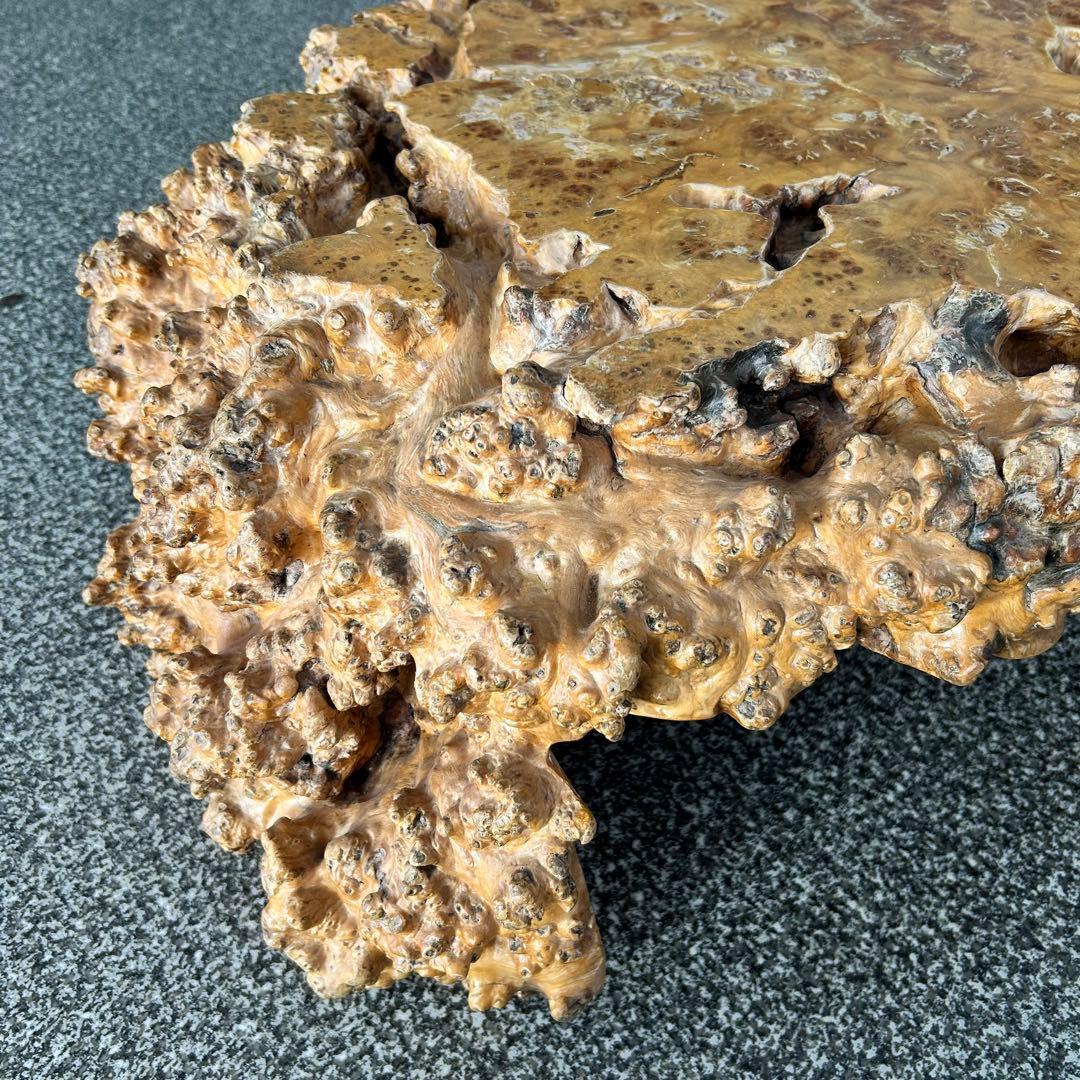 【希少】脚一体もの こぶ 無垢 一枚板 天然木 座卓