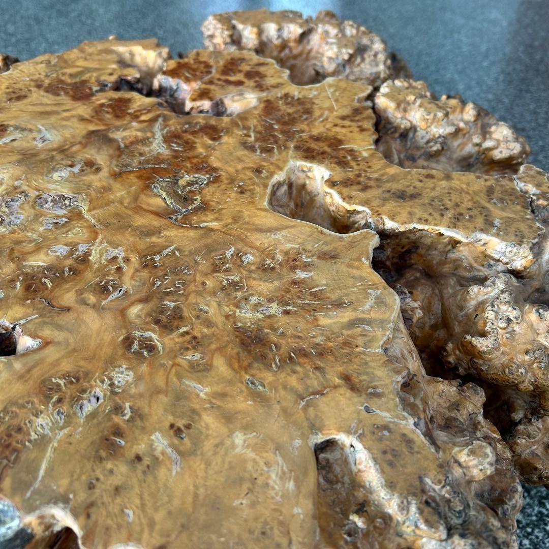 【希少】脚一体もの こぶ 無垢 一枚板 天然木 座卓