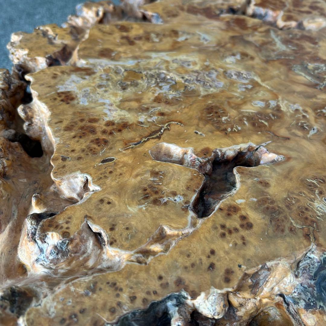 【希少】脚一体もの こぶ 無垢 一枚板 天然木 座卓