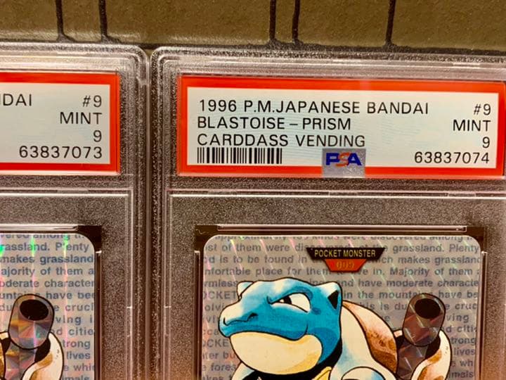 ポケモン カードダス No9.カメックス 緑 ホロ 希少