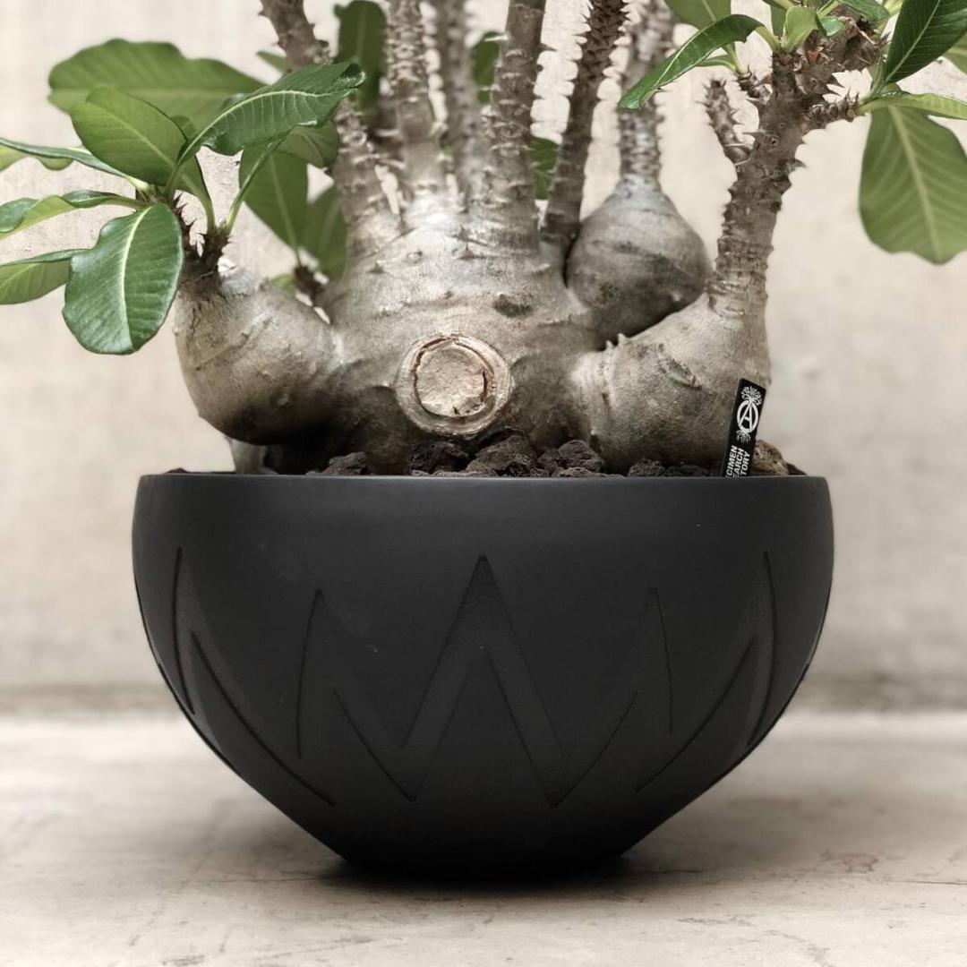 鉢・プランター SRL invisible ink. P-CHAMBER. SRLMEX-L