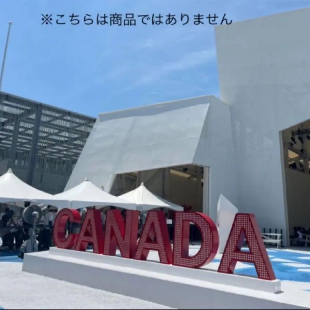 カナダ館 パビリオン ピンバッジ 非売品 EXPO2025 大阪関西万博 ピンズ
