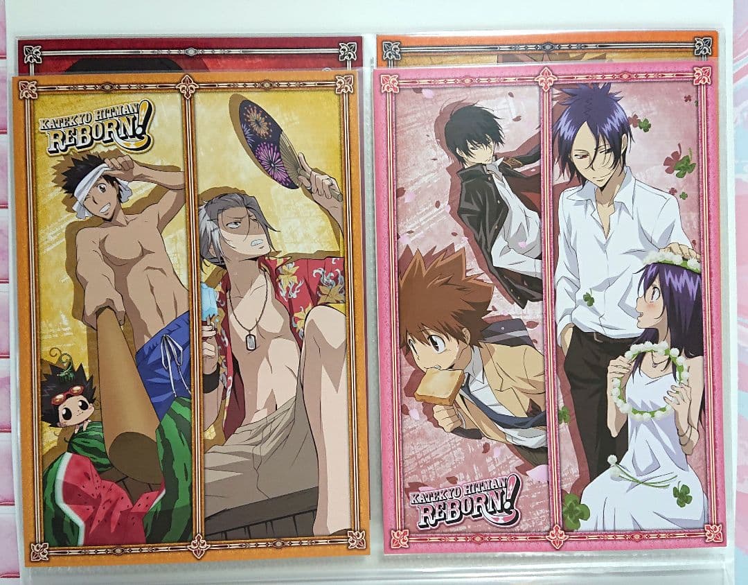 家庭教師ヒットマンREBORN！ ファイル付きビッグポストカードセット