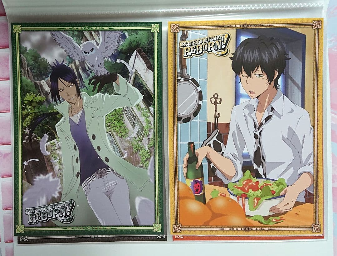 家庭教師ヒットマンREBORN！ ファイル付きビッグポストカードセット