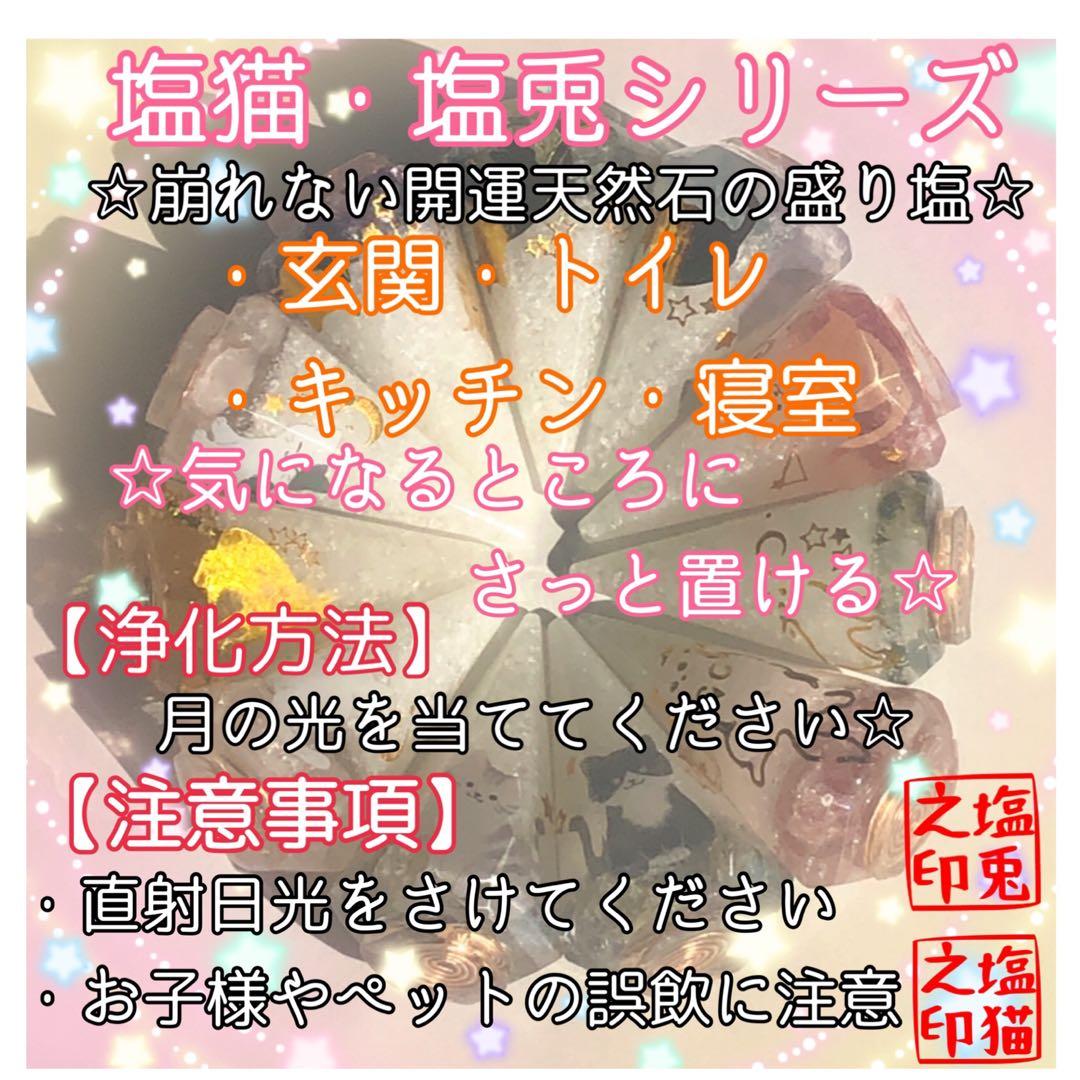 金隠師 サマ♡11点