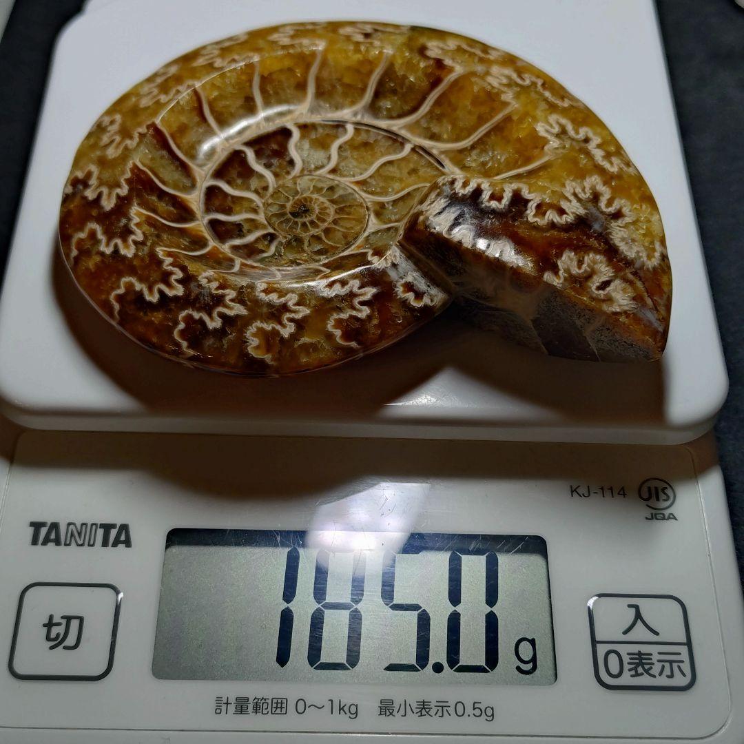 ★アンモナイト小物入れ 185.0gA(SA+)