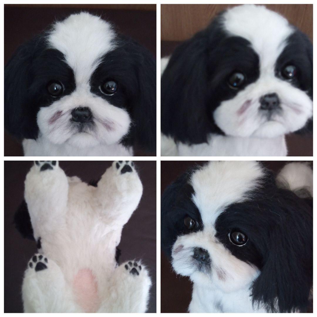 愛犬さんの羊毛フェルトオーダー・kenjistar様ご確認専用