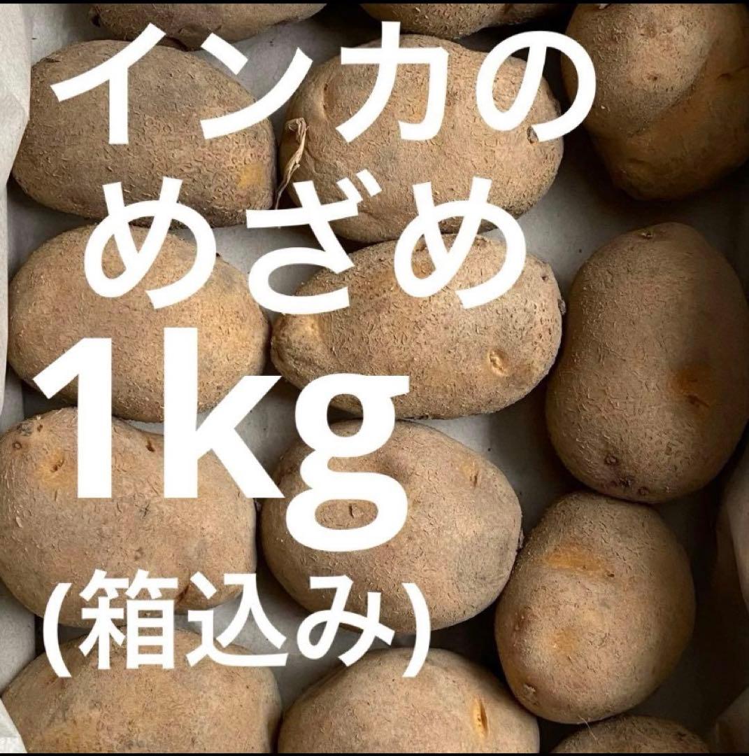 インカのめざめ 1kg 種芋 ジャガイモ 家庭菜園などに - メルカリ