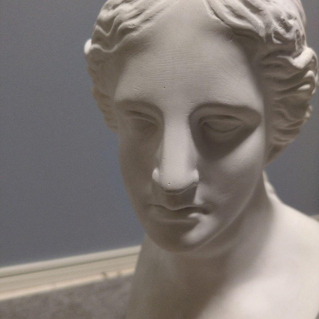 石膏像　ミロのヴィーナス　胸像　オブジェ　デッサン　美術　インテリア