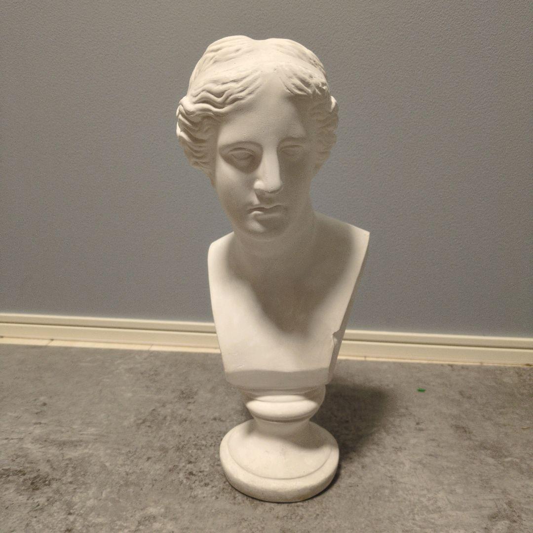 石膏像　ミロのヴィーナス　胸像　オブジェ　デッサン　美術　インテリア