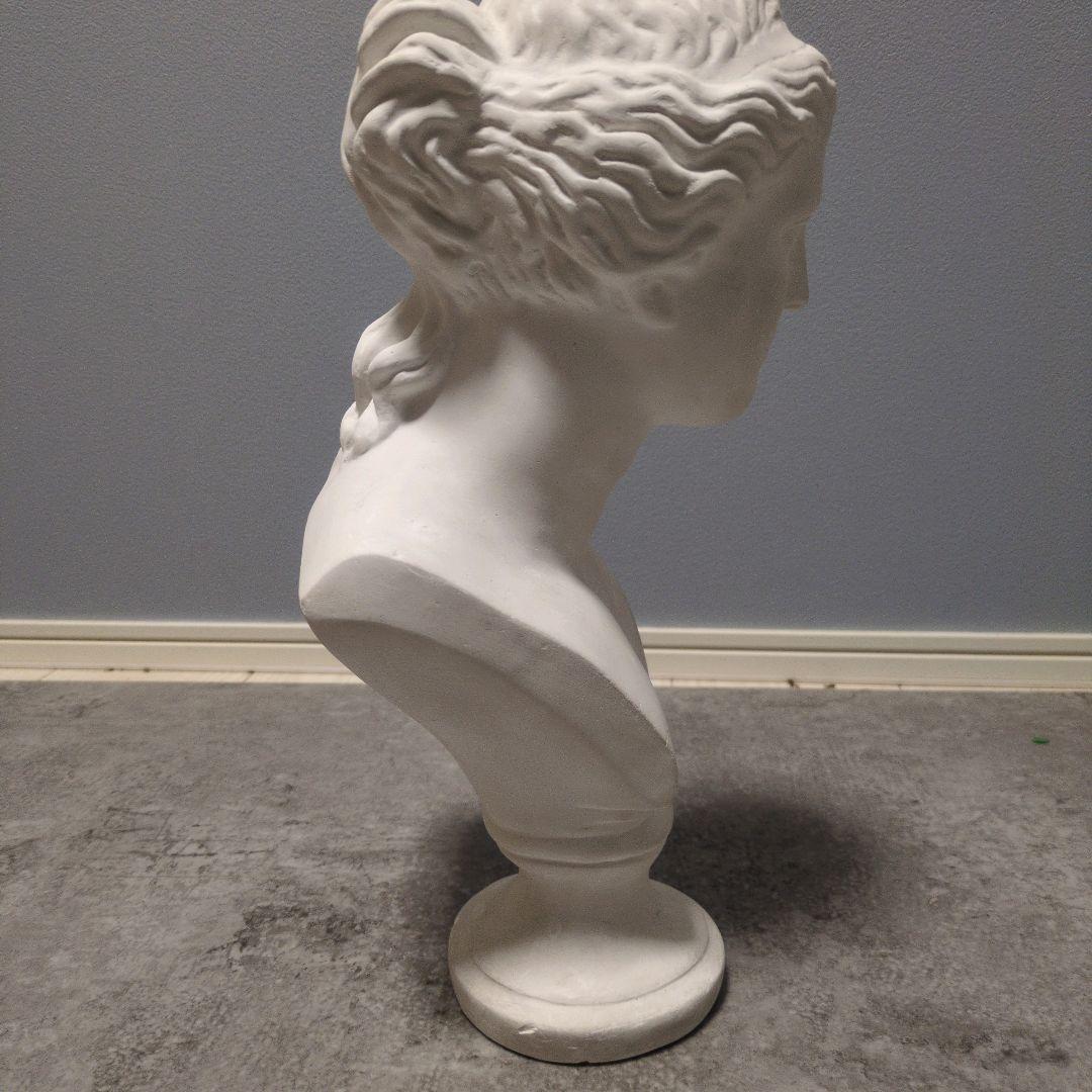 石膏像　ミロのヴィーナス　胸像　オブジェ　デッサン　美術　インテリア